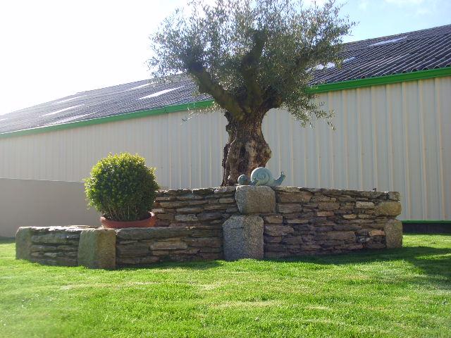 maçonnerie paysagère arbre jardin sur mesure